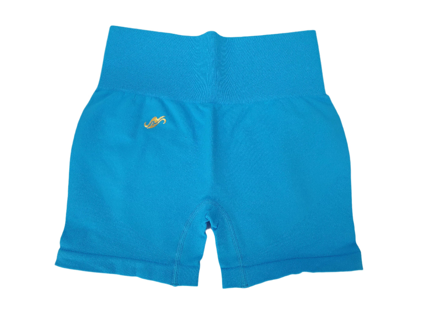 Active Wear Work out shorts